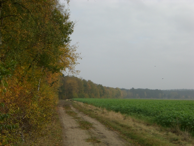 CTF Celle Strecke 086